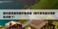 国内服务器和国外服务器（国外服务器好像都出问题了）
