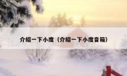 介绍一下小度（介绍一下小度音箱）