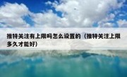 推特关注有上限吗怎么设置的（推特关注上限多久才能好）