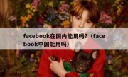 facebook在国内能用吗?（facebook中国能用吗）