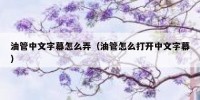油管中文字幕怎么弄（油管怎么打开中文字幕）