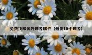 免费顶级国外域名软件（最贵10个域名）