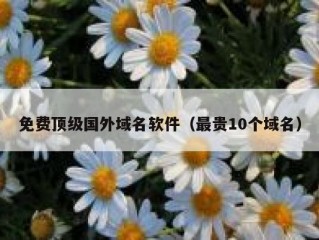 免费顶级国外域名软件（最贵10个域名）