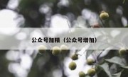 公众号加精（公众号增加）