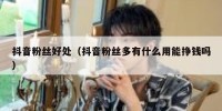 抖音粉丝好处（抖音粉丝多有什么用能挣钱吗）
