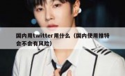 国内用twitter用什么（国内使用推特会不会有风险）