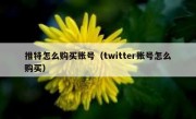 推特怎么购买账号（twitter账号怎么购买）