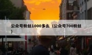 公众号粉丝1000多么（公众号700粉丝）