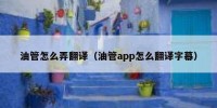 油管怎么弄翻译（油管app怎么翻译字幕）