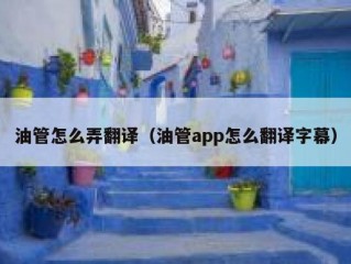 油管怎么弄翻译（油管app怎么翻译字幕）
