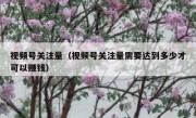 视频号关注量（视频号关注量需要达到多少才可以赚钱）