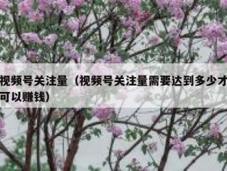 视频号关注量（视频号关注量需要达到多少才可以赚钱）