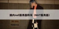 国内nat服务器购买（NAT服务器）