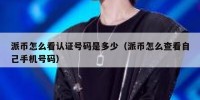 派币怎么看认证号码是多少（派币怎么查看自己手机号码）