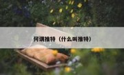 何谓推特（什么叫推特）