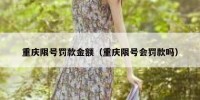 重庆限号罚款金额（重庆限号会罚款吗）