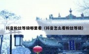 抖音粉丝等级哪里看（抖音怎么看粉丝等级）