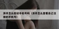 派币怎么验证手机号码（派币怎么查看自己注册的手机号）