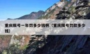 重庆限号一年罚多少钱啊（重庆限号罚款多少钱）