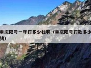重庆限号一年罚多少钱啊（重庆限号罚款多少钱）