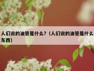 人们说的油管是什么?（人们说的油管是什么东西）