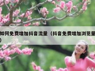 如何免费增加抖音流量（抖音免费增加浏览量）
