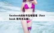 facebook的帐号在哪里看（facebook 账号怎么看）