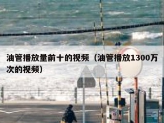 油管播放量前十的视频（油管播放1300万次的视频）