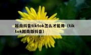 越南抖音tiktok怎么才能用（tik tok越南版抖音）