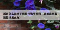 派币怎么注册下载软件账号密码（派币注册出现错误怎么办）