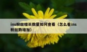 ins粉丝增长数量如何查看（怎么看ins粉丝数增加）