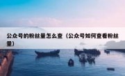 公众号的粉丝量怎么查（公众号如何查看粉丝量）