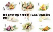抖音里的粉丝是怎样来的（抖音粉丝从哪里来获取）