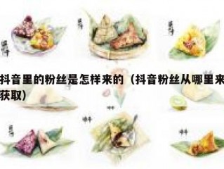 抖音里的粉丝是怎样来的（抖音粉丝从哪里来获取）