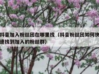 抖音加入粉丝团在哪里找（抖音粉丝团如何快速找到加入的粉丝群）