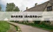 国内服务器（国内服务器cpu）