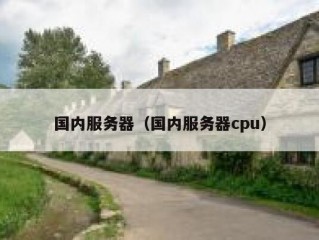 国内服务器（国内服务器cpu）