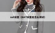nat设置（NAT设置后怎么测试）
