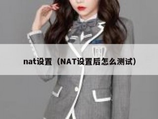 nat设置（NAT设置后怎么测试）