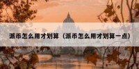 派币怎么用才划算（派币怎么用才划算一点）