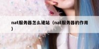 nat服务器怎么建站（nat服务器的作用）