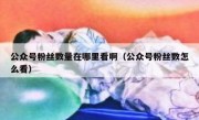 公众号粉丝数量在哪里看啊（公众号粉丝数怎么看）