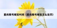 重庆限号规定时间（重庆限号规定怎么处罚）