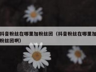 抖音粉丝在哪里加粉丝团（抖音粉丝在哪里加粉丝团啊）