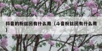 抖音的粉丝团有什么用（斗音粉丝团有什么用）