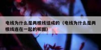 电线为什么是两根线组成的（电线为什么是两根线连在一起的呢图）