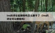 ins的评论能删除吗怎么删不了（ins的评论可以删除吗）