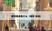 推特英语是什么（推特 英语）