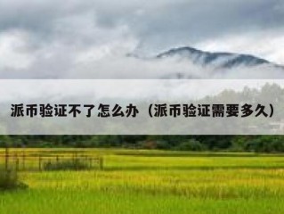 派币验证不了怎么办（派币验证需要多久）