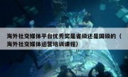 海外社交媒体平台优秀奖是省级还是国级的（海外社交媒体运营培训课程）